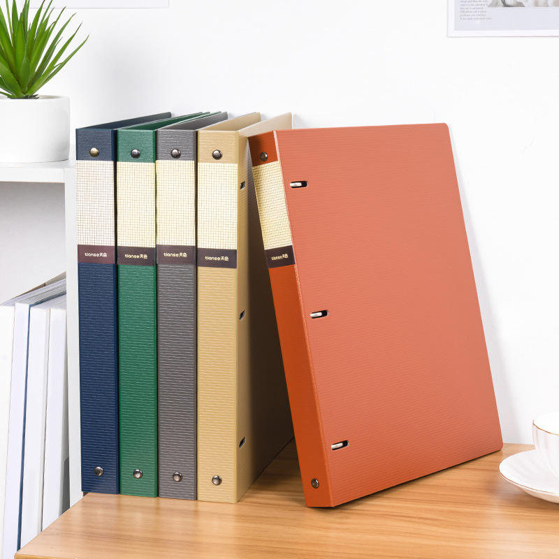 Segregator A4 z trzema otworam – Binder Clip Assorted recenzja i cena